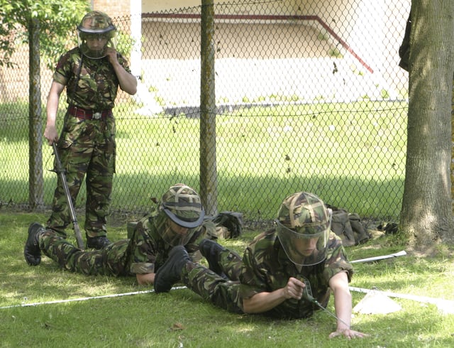 Combat Engineers of 20 Field Squadron, 36 Engineer Regiment practice landmine clearance.