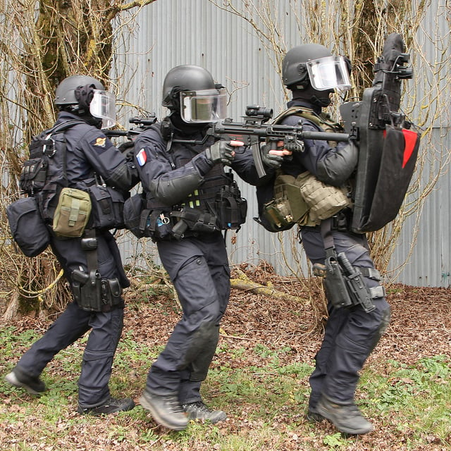 GIGN operators in training - 2016