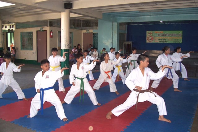 Karatekas wearing different colored belts