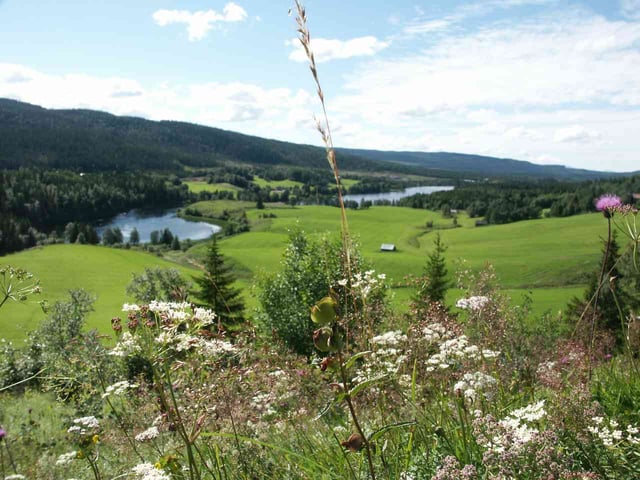 Summer scenery in Jämtland