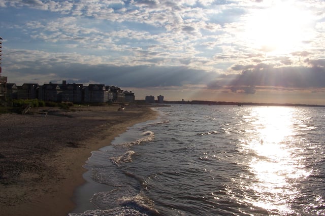 The Chesapeake Bay shore