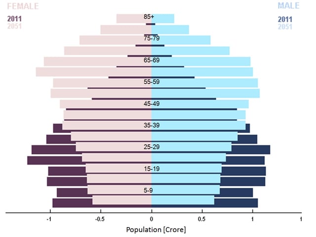 Population Pyramid in South India