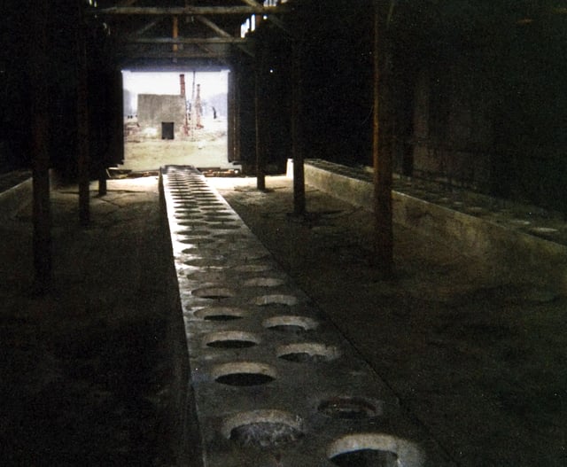 Latrine in the men's quarantine camp, sector BIIa, Auschwitz II, 2003