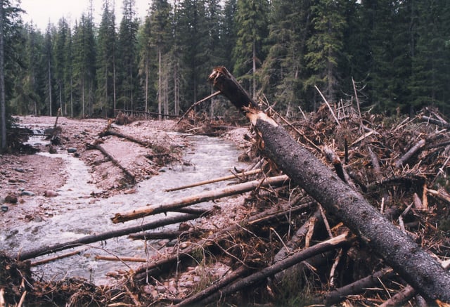 Traces from the destruction from a great 1997 storm 1997 at the river Stora Göljån