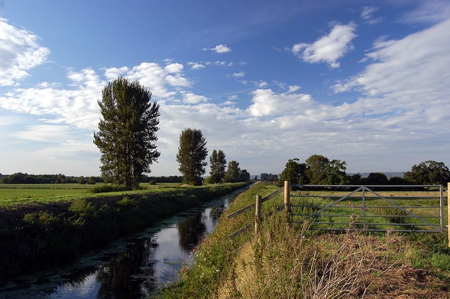 The River Brue in an artificial channel draining farmland near Glastonbury