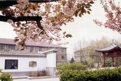 A corner of Xingqing campus
