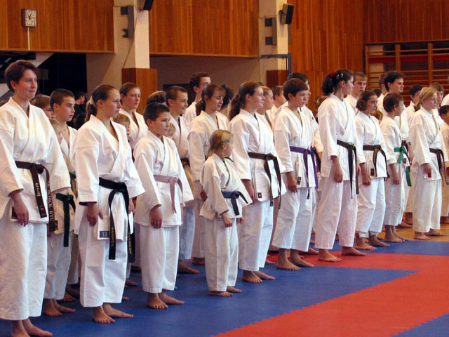 At the international level the senpai–kōhai relation has spread through martial arts, in which the members of different kyū and dan levels are sorted by belt colour.