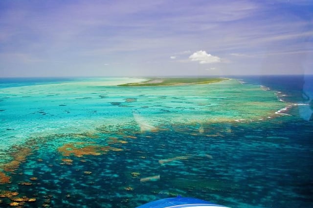 Coral reefs in the British Virgin Islands