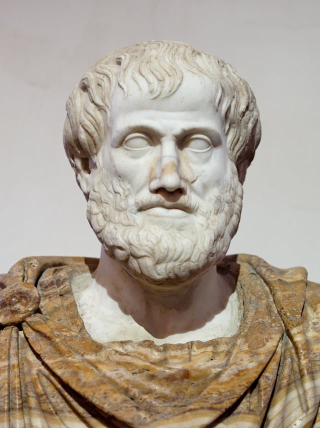 Aristotle with a beard.