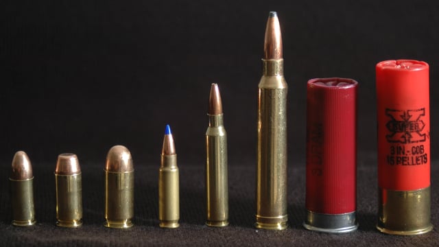From left to right: 9×19mm Parabellum, .40 S&W, .45 ACP, 5.7×28mm, 5.56×45mm NATO, .300 Winchester Magnum, and a 2.75-inch (70 mm) and 3-inch (76 mm) 12 gauge.