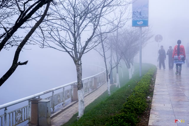 Natural fog in northwest Vietnam (Tây Bắc).