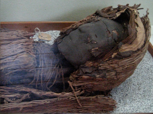 Chinchorro mummies are the oldest artificial mummies on the earth.