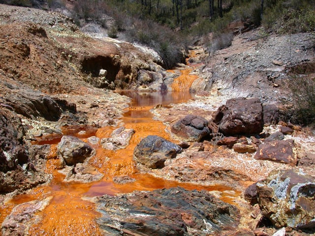 The ARMAN are a new group of archaea recently discovered in acid mine drainage.