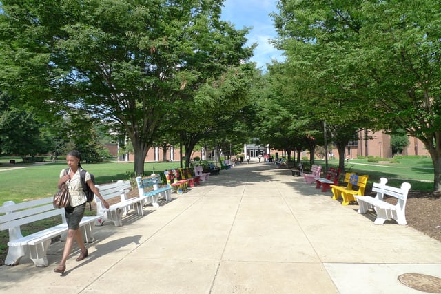 Benches painted by students outside the Fenwick Library