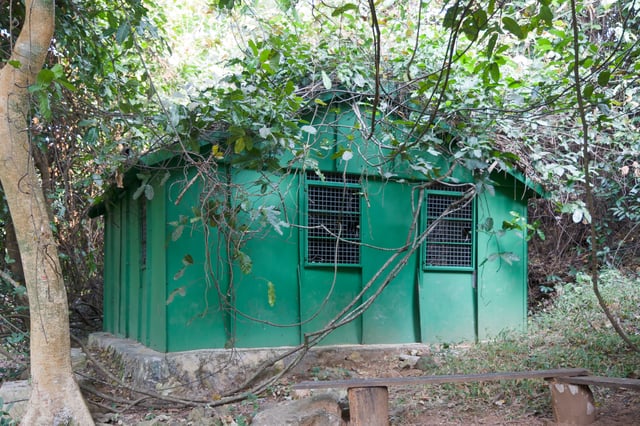Feeding station at Gombe, where Jane Goodall used to feed and observe the chimps