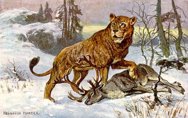 Eurasian cave lion with a reindeer.