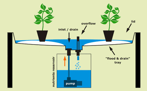 An ebb and flow, or flood and drain, hydroponics system