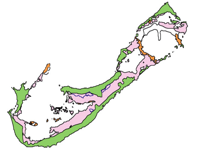 NOAA Ocean Explorer Bermuda Geologic Map. where red denotes the Walsingham Formation, purple denotes the Town Hill and Belmont Formations, green denotes the Rocky Bay and Southampton Formations, and white is fill associated with the airport