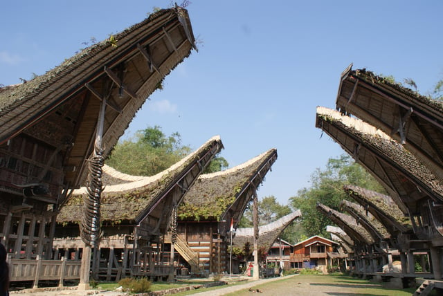 An avenue of Tongkonan houses in a Torajan village