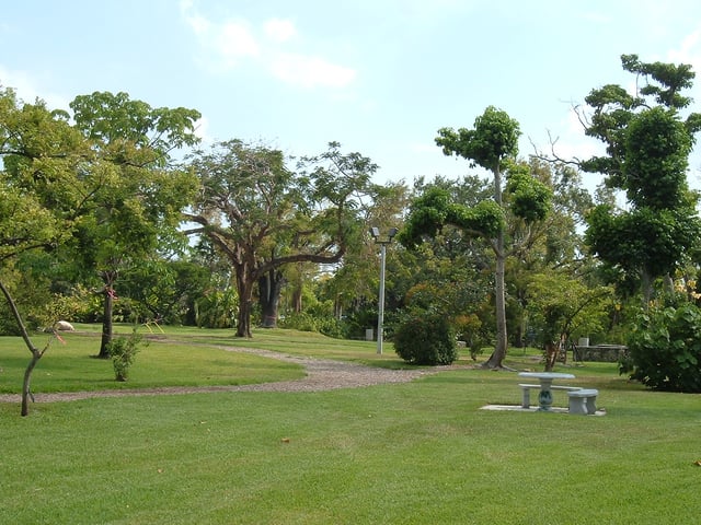 The John C. Gifford Arboretum on the University of Miami campus