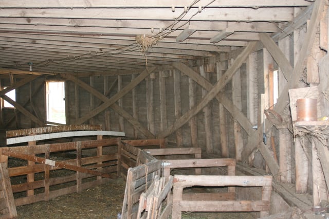An unusual example of balloon framing: The Jim Kaney Round Barn, Adeline, Illinois, U.S.A.