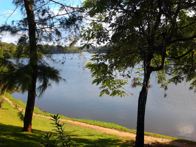 Pituaçu Park
