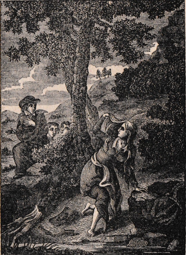Illustration to The Ingenious Gentleman Don Quixote of La Mancha. Volume II.