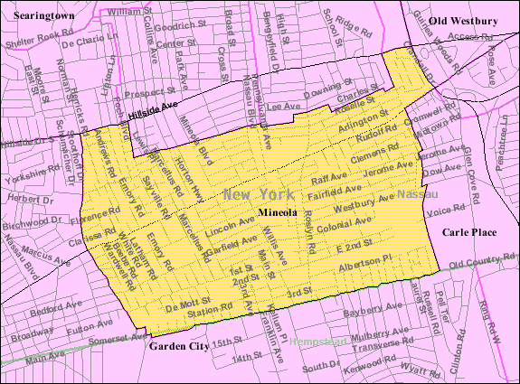 U.S. Census map