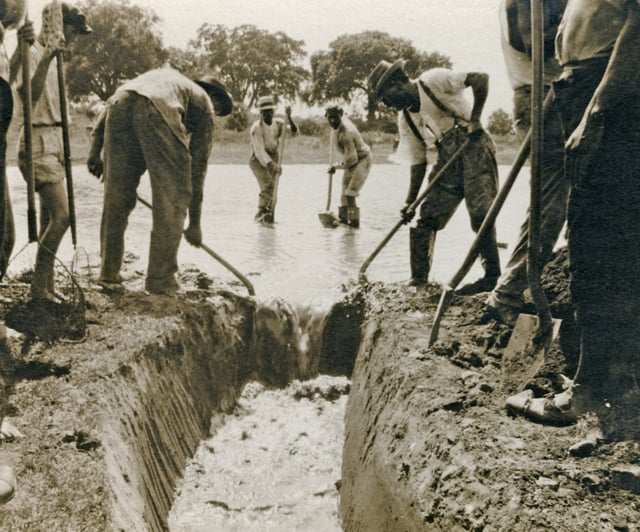 A 1920s photograph of efforts to disperse standing water and thus decrease mosquito populations
