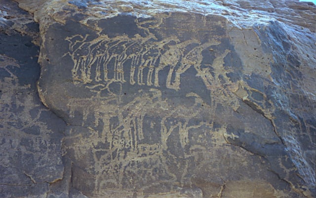 Ancient rock engraving showing herds of giraffe, ibex, and other animals in the southern Sahara near Tiguidit, Niger.