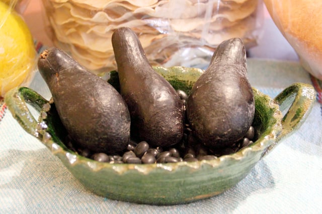 Native Oaxaca criollo avocados, the ancestral form of today's domesticated varieties