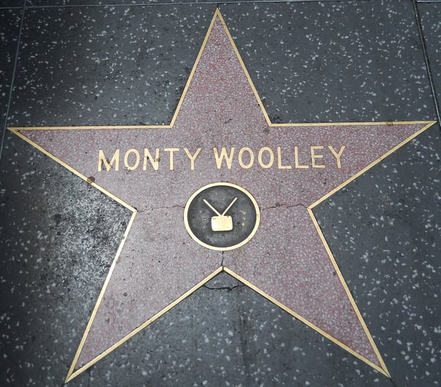 "Motion Picture" category, "TV" emblem
