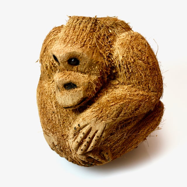A "coconut monkey" from Mexico, a common souvenir item carved from coconut shells