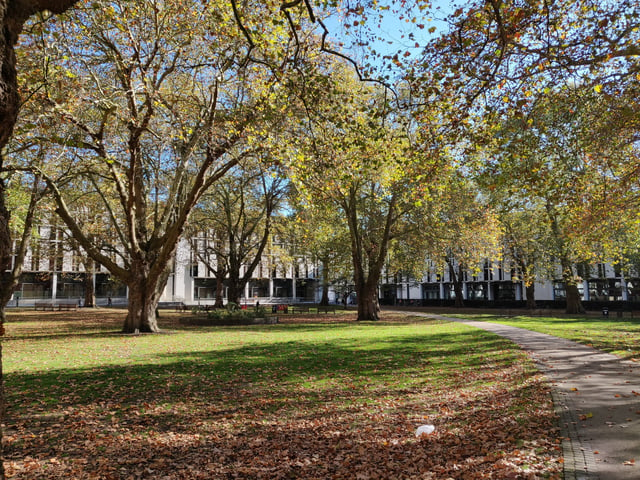 Prince's Gardens, surrounded by college halls of residence