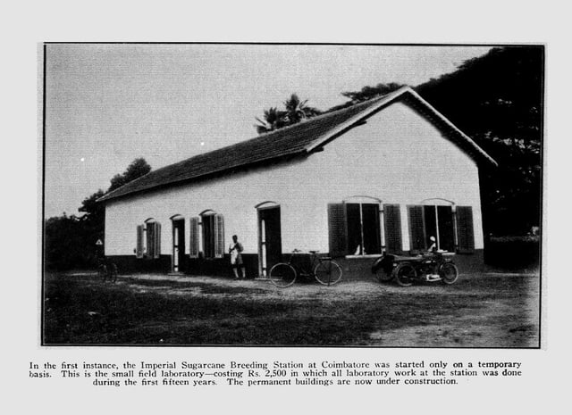 The Sugarcane Breeding Institute at Coimbatore, 1928