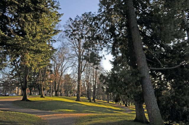 Wright Park