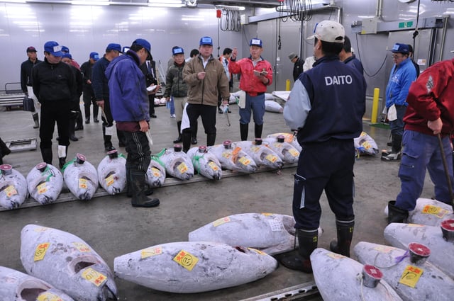 Tuna auction at Narita Wholesale Market