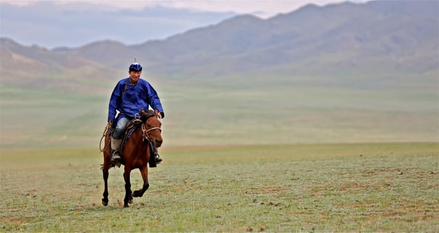 While the Mongolian horse continues to be revered as the national symbol, they are rapidly being replaced by motorized vehicles.