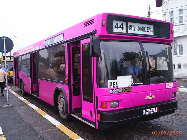 One of Constanța's distinctive pink MAZ buses, running on Route 44