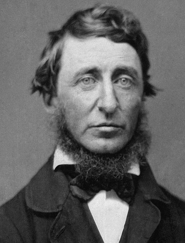 Henry David Thoreau with neckbeard
