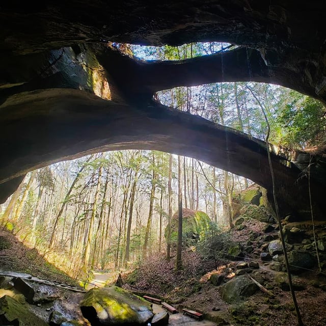 The Natural Bridge Rock in Winston County is the longest natural bridge east of the Rockies.