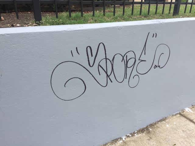 A tag in Dallas, reading "Spore"