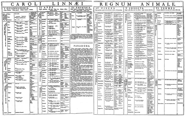 Table of the Animal Kingdom (Regnum Animale) from the 1st edition of Systema Naturæ (1735)