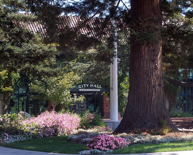 City Hall (surrounded by Redwood trees)