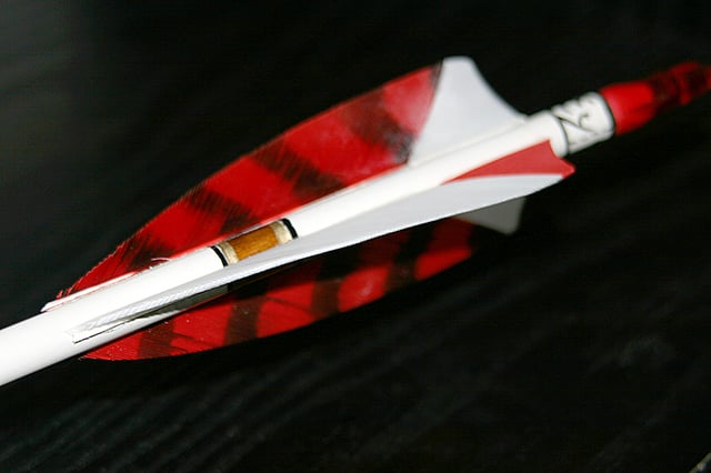 Shield cut straight fletching – here the hen feathers are barred red