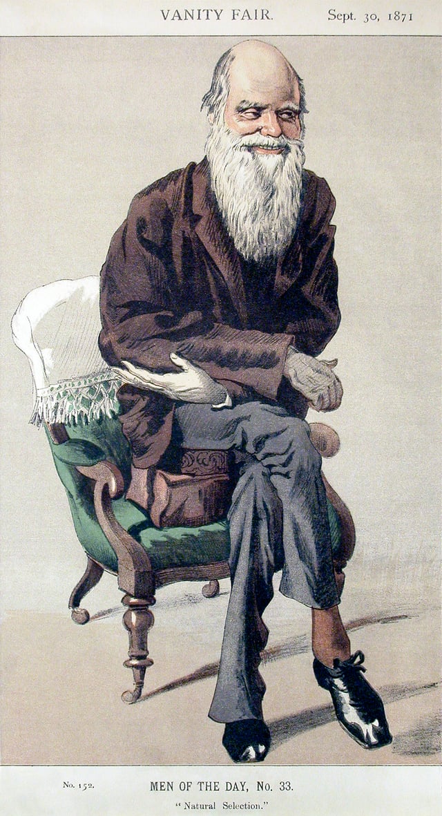 Caricature of Darwin from 1871 Vanity Fair