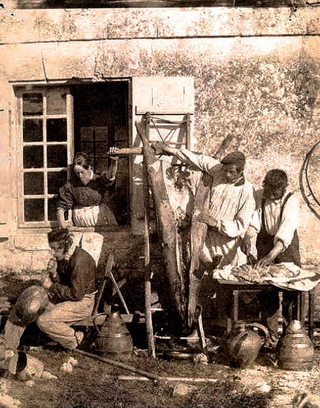 Pig being prepared in France during the mid-19th century.