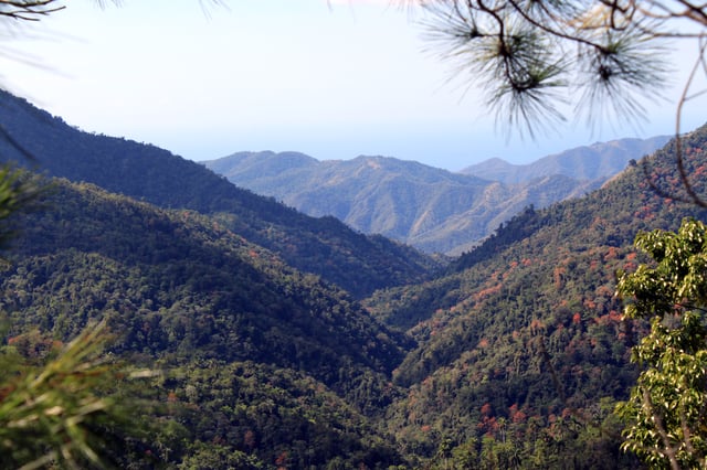 The thickly forested mountain range of the Sierra Maestra, from where Castro and his revolutionaries led guerrilla attacks against Batista's forces for two years. Castro biographer Robert E. Quirk noted that there was "no better place to hide" in all the island.
