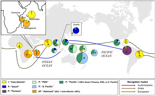 Geographical distributions of Indo-Atlantic and Pacific coconut subpopulations and their genetic composition (Gunn et al., 2011)