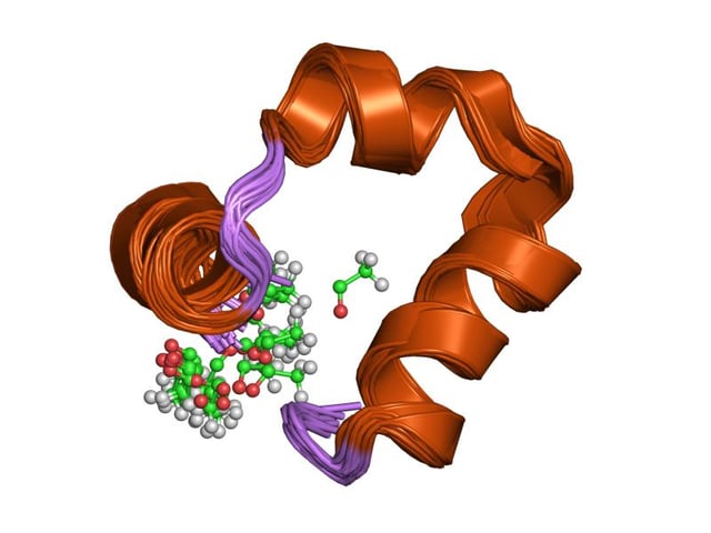 Structure of the C-terminal subdomain of villin, a protein capable of splitting microfilaments